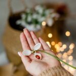 Top 10 Natural Weight Loss Pills weight loss pills