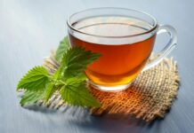 The Benefits of Green Tea Extract Green Tea Extract